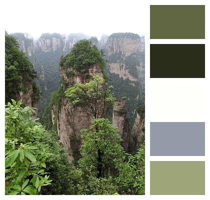 Quartz Sandstone Peak Woodland Landscape Wulingyuan Zhangjiajie Image